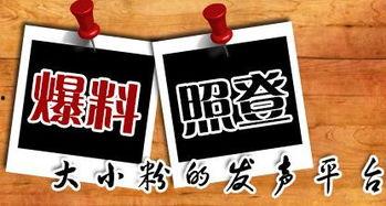 重庆新闻匿名爆料,匿名爆料揭示城市热点事件内幕